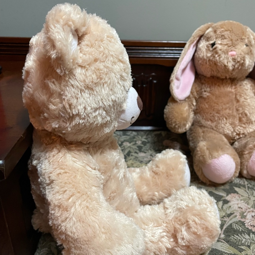 Build-A-Bear rabbit and bear set. - Picture 4 of 13